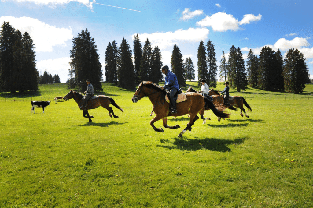 Forfait au Galop pour 2 personnes